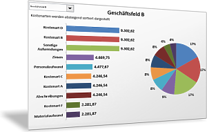 Kostenstrukturanalyse Für Geschäftsfelder Und Nach Kostenarten ...